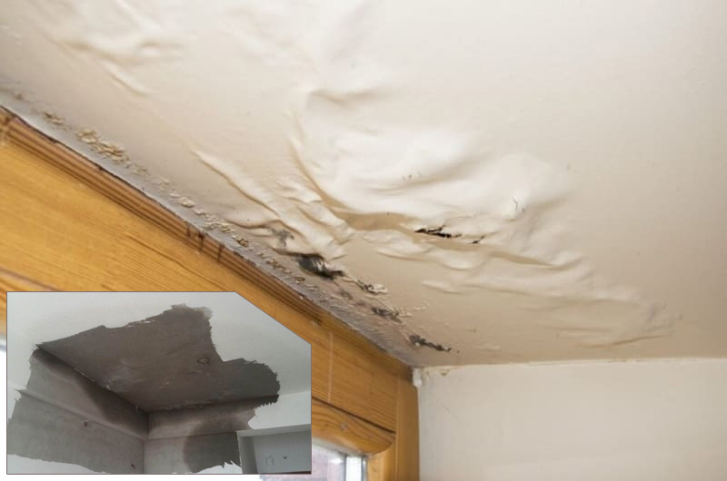 Nguyên Nhân Sân Thượng Bị Thấm – Cách Xử Lý Đúng Chuẩn Khi Sửa Nhà Tại Đà Nẵng